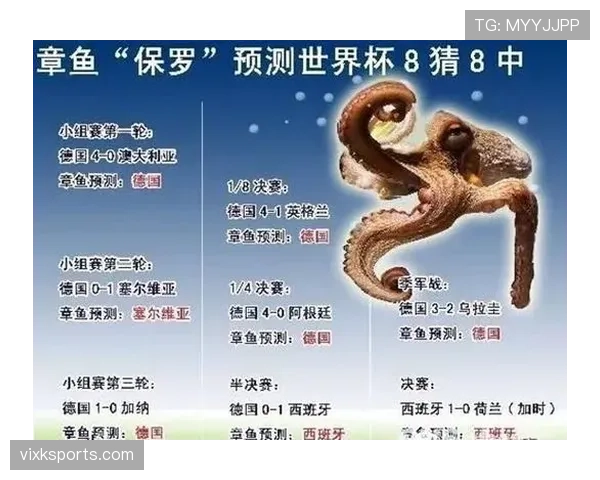 世界杯B组赔率变化分析